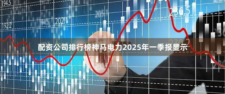 配资公司排行榜神马电力2025年一季报显示