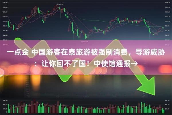 一点金 中国游客在泰旅游被强制消费，导游威胁：让你回不了国！中使馆通报→