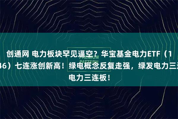 创通网 电力板块罕见逼空?华宝基金电力ETF(159146)七连涨创新高!绿电概念反复走强,绿发电力三连板!